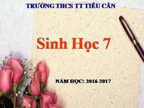 Bài 55. Tiến hoá về sinh sản