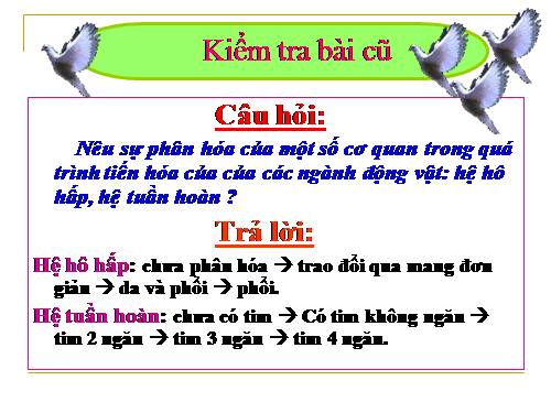 Bài 55. Tiến hoá về sinh sản