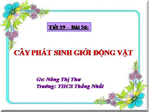 Bài 56. Cây phát sinh giới Động vật