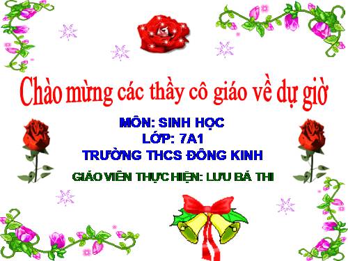 Bài 48. Đa dạng của lớp Thú: Bộ Thú huyệt, bộ Thú túi