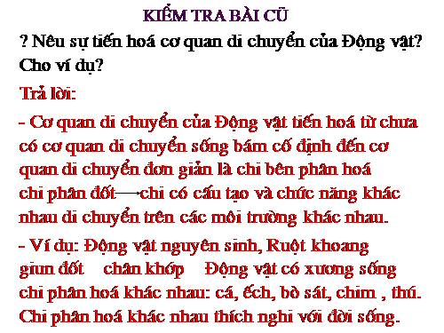 Bài 54. Tiến hoá về tổ chức cơ thể