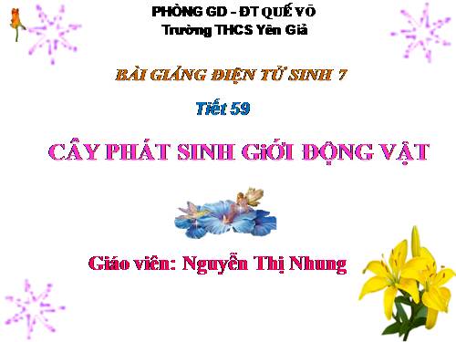 Bài 56. Cây phát sinh giới Động vật