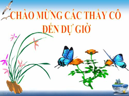 Bài 55. Tiến hoá về sinh sản