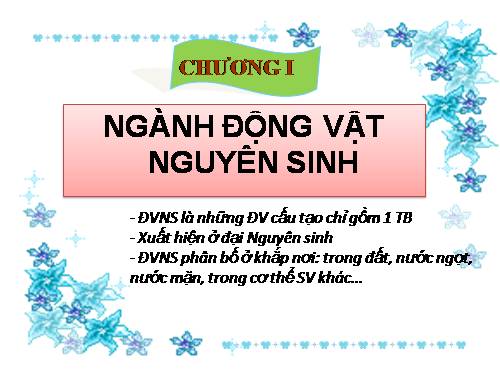 Bài 3. Thực hành: Quan sát một số động vật nguyên sinh