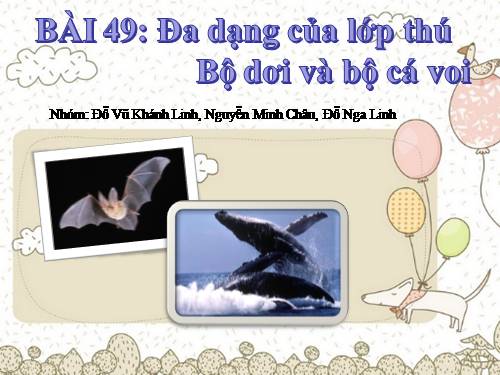 Bài 49. Đa dạng của lớp Thú: Bộ Dơi và bộ Cá voi