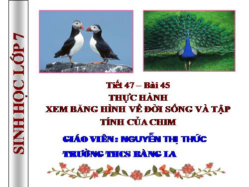 Bài 52. Thực hành: Xem băng hình về đời sống và tập tính của Thú