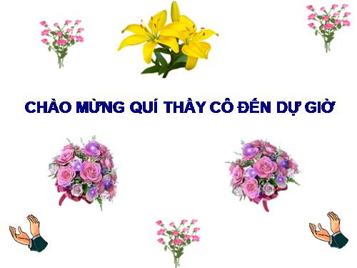 Bài 49. Đa dạng của lớp Thú: Bộ Dơi và bộ Cá voi