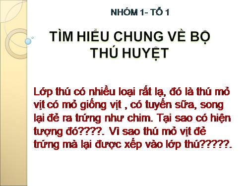 Bài 48. Đa dạng của lớp Thú: Bộ Thú huyệt, bộ Thú túi