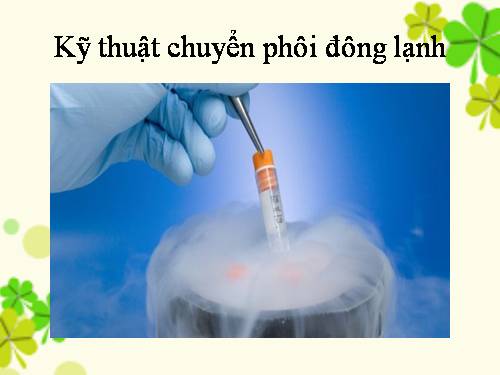 kỹ thuật chuyển phôi đông lạnh