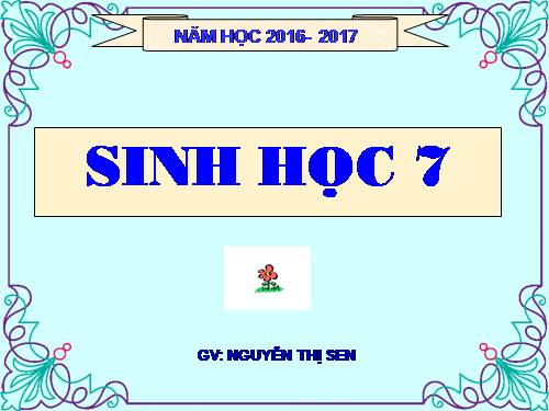 Bài 48. Đa dạng của lớp Thú: Bộ Thú huyệt, bộ Thú túi