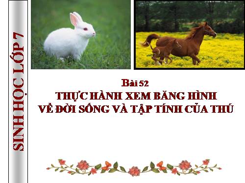 Bài 52. Thực hành: Xem băng hình về đời sống và tập tính của Thú