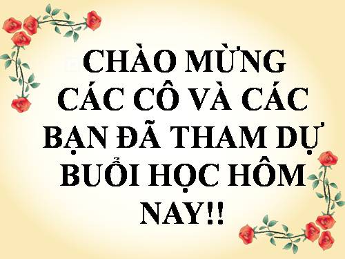 Bài 50. Đa dạng của lớp Thú: Bộ Ăn sâu bọ, bộ Gặm nhấm, bộ Ăn thịt