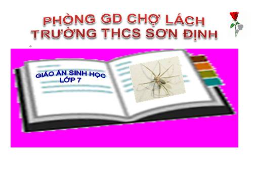 Bài 25. Nhện và sự đa dạng của lớp Hình nhện