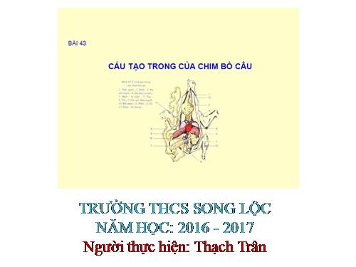 Bài 43. Cấu tạo trong của chim bồ câu