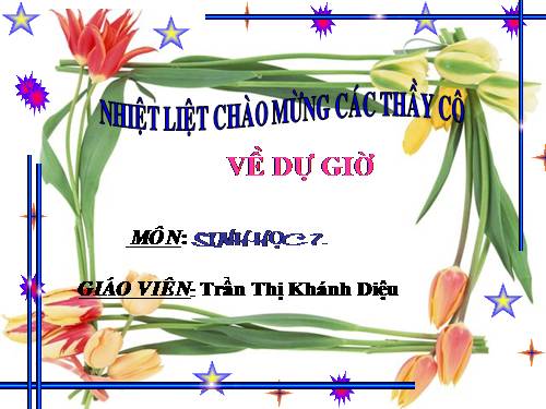 Bài 37. Đa dạng và đặc điểm chung của lớp Lưỡng cư