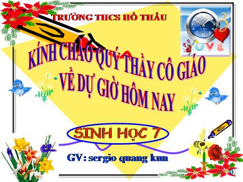 Bài 46. Thỏ