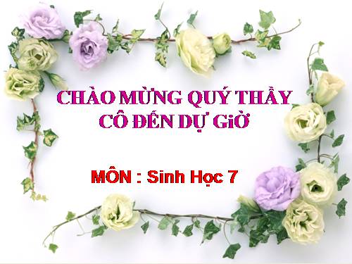 Bài 25. Nhện và sự đa dạng của lớp Hình nhện