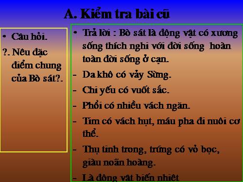 Bài 41. Chim bồ câu