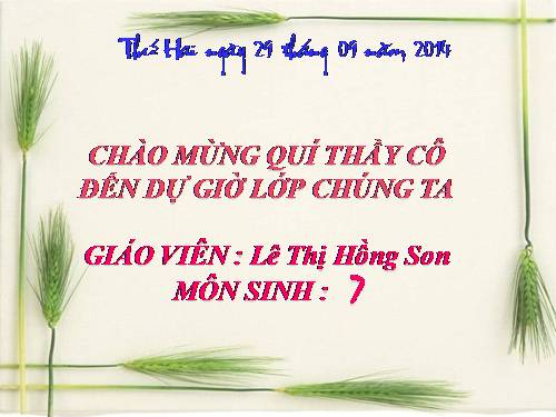 Bài 13. Giun đũa