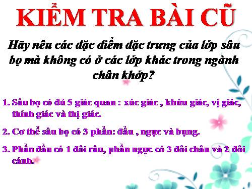 Bài 29. Đặc điểm chung và vai trò của ngành Chân khớp