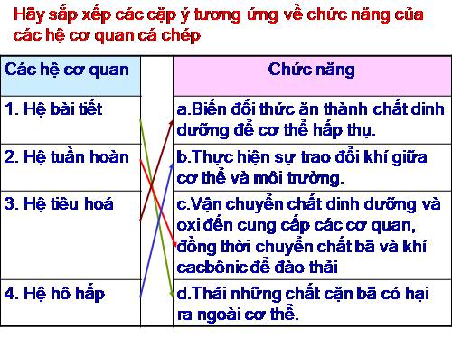 Bài 34. Đa dạng và đặc điểm chung của các lớp Cá