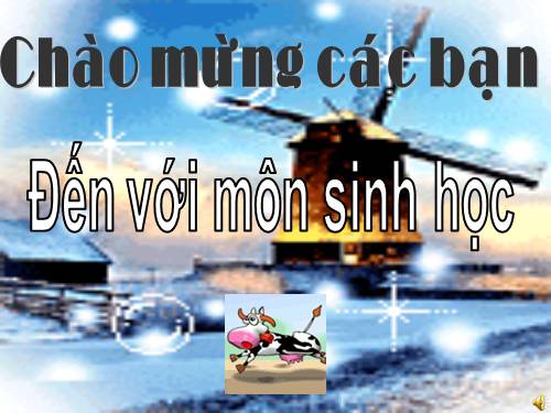 Bài 25. Nhện và sự đa dạng của lớp Hình nhện