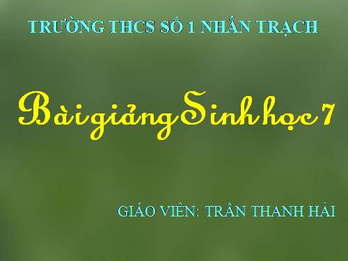 Bài 25. Nhện và sự đa dạng của lớp Hình nhện