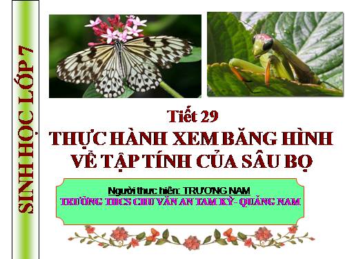 Bài 28. Thực hành: Xem băng hình về tập tính của sâu bọ