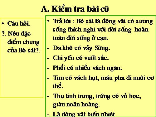 Bài 41. Chim bồ câu