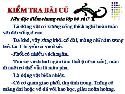 Bài 41. Chim bồ câu