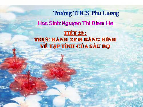 Bài 28. Thực hành: Xem băng hình về tập tính của sâu bọ