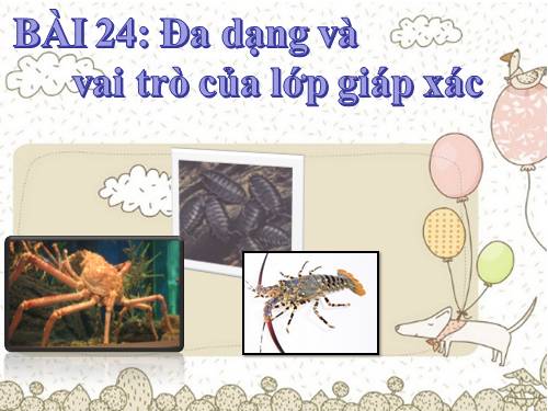 Bài 24. Đa dạng và vai trò của lớp Giáp xác