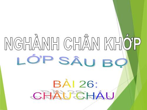 Bài 26. Châu chấu