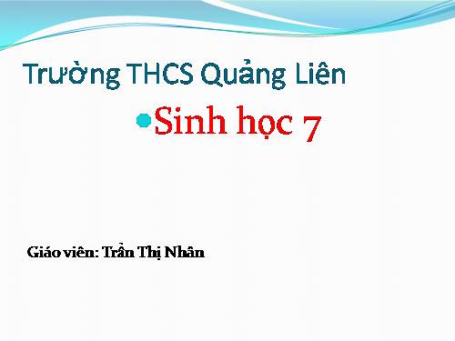 Bài 24. Đa dạng và vai trò của lớp Giáp xác