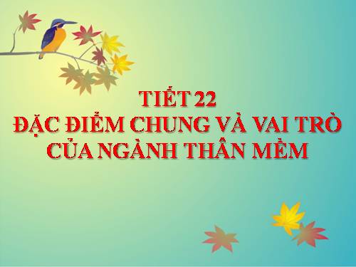 Bài 21. Đặc điểm chung và vai trò của ngành Thân mềm