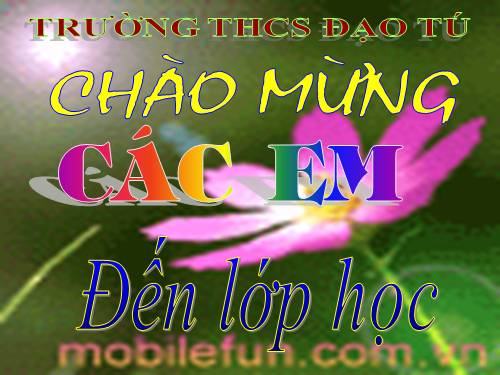 Bài 20. Thực hành: Quan sát một số thân mềm