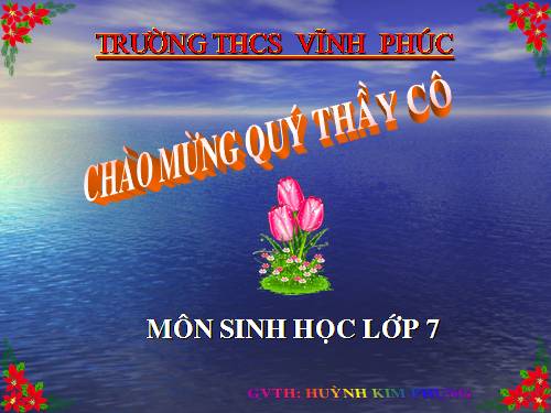 Bài 21. Đặc điểm chung và vai trò của ngành Thân mềm