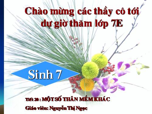 Bài 19. Một số thân mềm khác