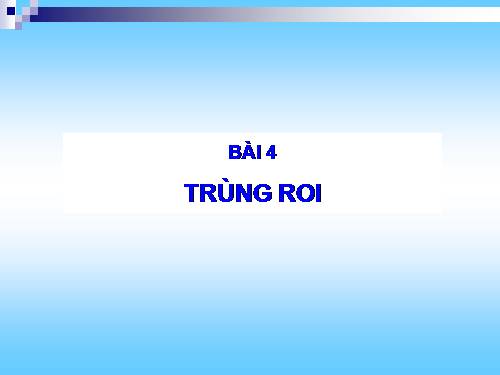 Bài 4. Trùng roi