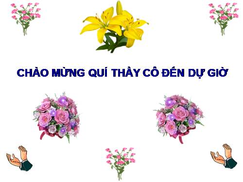 Bài 49. Đa dạng của lớp Thú: Bộ Dơi và bộ Cá voi