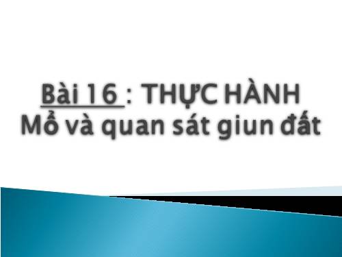 Bài 16. Thực hành: Mổ và quan sát giun đất