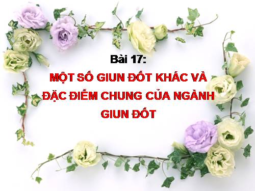 Bài 17. Một số giun đốt khác và đặc điểm chung của ngành Giun đốt