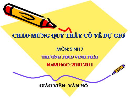 Bài 15. Giun đất