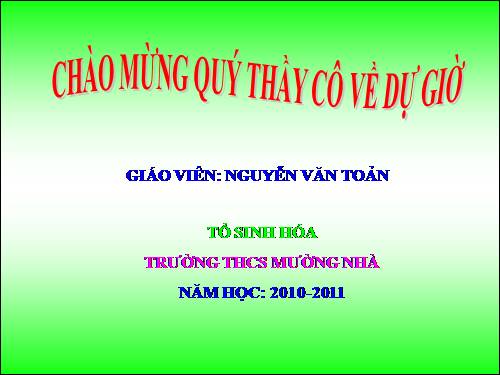 Bài 14. Một số giun tròn khác và đặc điểm chung của ngành Giun tròn