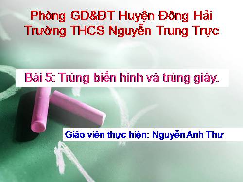 Bài 5. Trùng biến hình và trùng giày