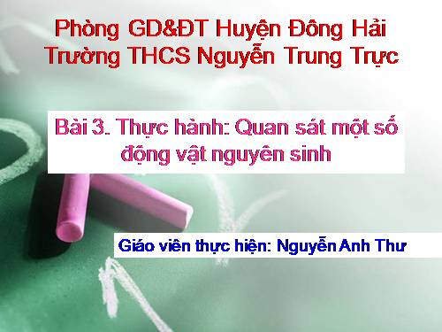 Bài 3. Thực hành: Quan sát một số động vật nguyên sinh