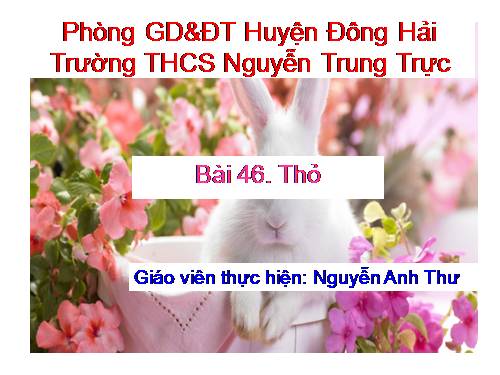 Bài 46. Thỏ