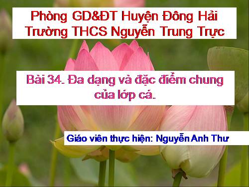 Bài 34. Đa dạng và đặc điểm chung của các lớp Cá