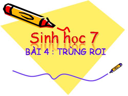 Bài 4. Trùng roi