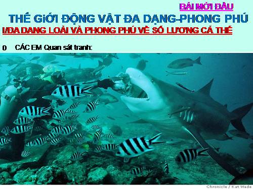 Bài 1. Thế giới động vật đa dạng, phong phú